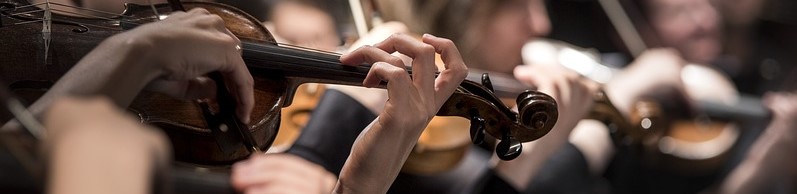 classical-music-1838390_960_720 (2)